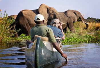 Ruwesi Canoe Trail Ruwesi Canoe Trail: Fotograf und Elefanten
