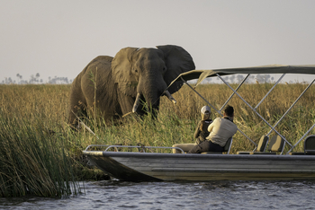 Savuti Camp Savuti Camp: Motorbootsafari