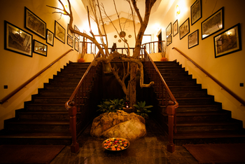 Singinawa Jungle Lodge: Treppe am Eingang