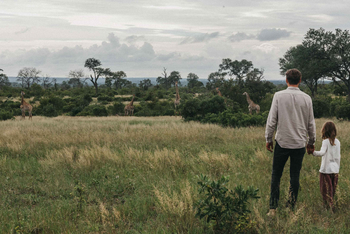 Singita Boulders Lodge: Zwei Beobachter anschauen Giraffen im Wildreservat