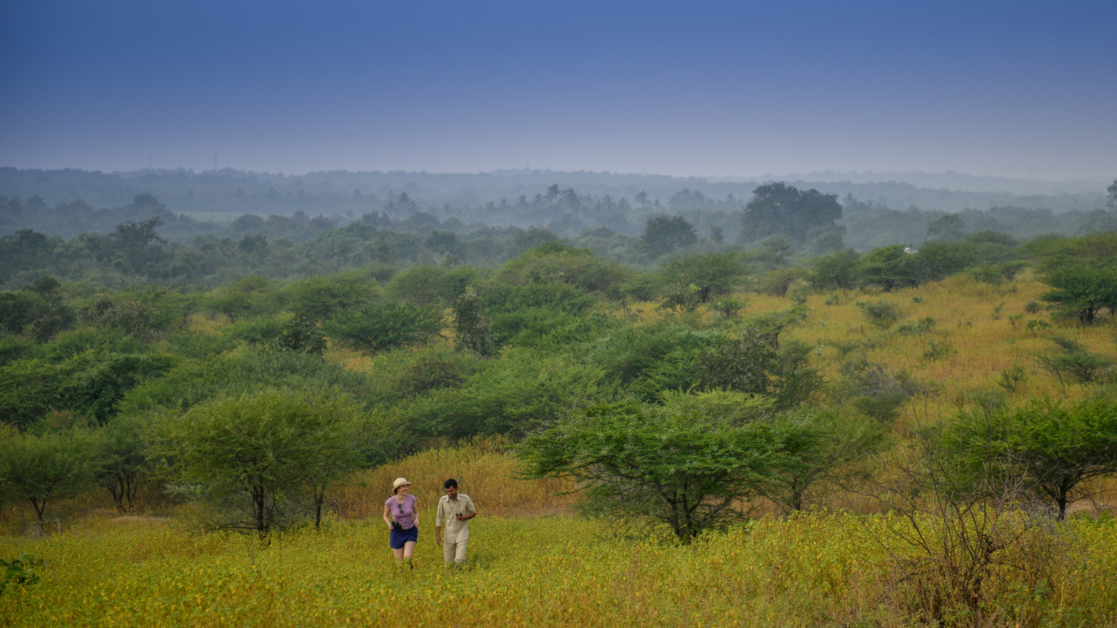 The Postcard Gir Wildlife Sanctuary The Postcard Gir Wildlife Sanctuary: Geführter Nature Walk