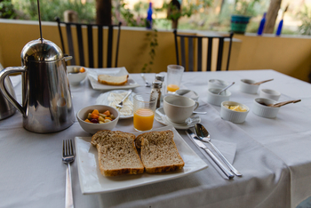 Boteti River Camp: Toast