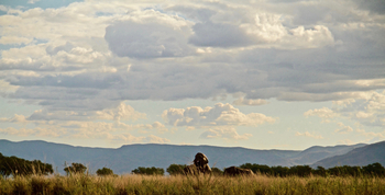 Classic Zambia Safaris Classic Zambia Safaris: Landschaft