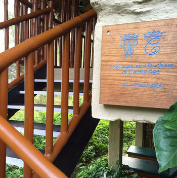 Diphlu River Lodge: River-facing Cottage