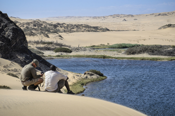 Hoanib Skeleton Coast Camp: Blick auf die Wüstenoase