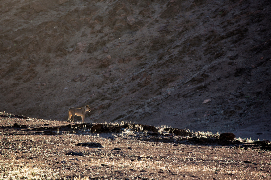 Hoanib Valley Camp