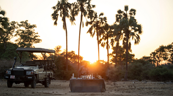 Kanga Camp: Getränkebar im Freien mit Palmen im Hintergrund
