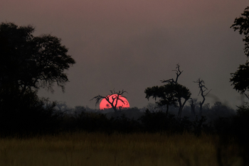 Lagoon Camp Lagoon Camp: Sonnenball