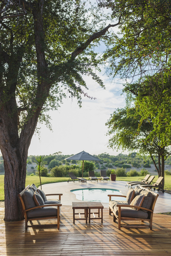 Leroo La Tau Lodge: Sessel im Schatten der Bäume