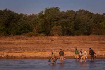 Mwaleshi Camp Mwaleshi Camp: Walking Safari