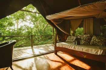 Rufiji River Camp: Gästezelt