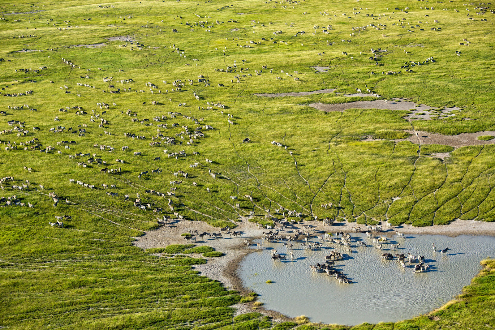 Salt Pans Sleep-out Salt Pans Sleep-out: Wasserloch