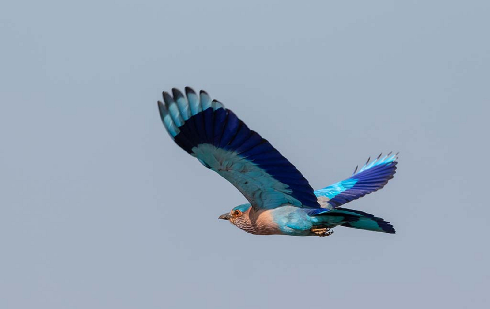 Sawai Vilas Sawai Vilas