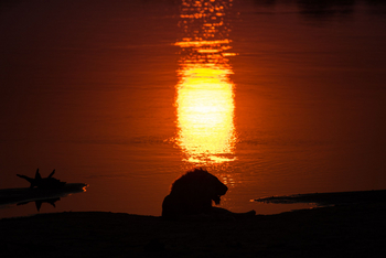 Shawa Luangwa Camp: .