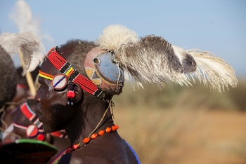 Sirikoi Lodge Sirikoi Lodge: Federschmuck