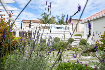 Swakopmund Guesthouse: Blumen im Garten