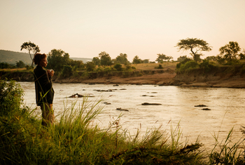 The Nest Treehouse: Fluss