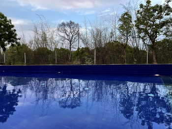 The Postcard Gir Wildlife Sanctuary: Infinity Pool