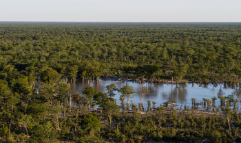 Elephant Pan Camp: Lage am gegenüberliegenden Ufer