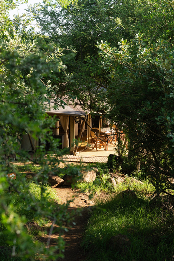 Elewana Serengeti Pioneer Camp: Hauptzelt zwischen Zweigen