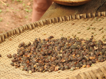 Haven Lodge: Schalen