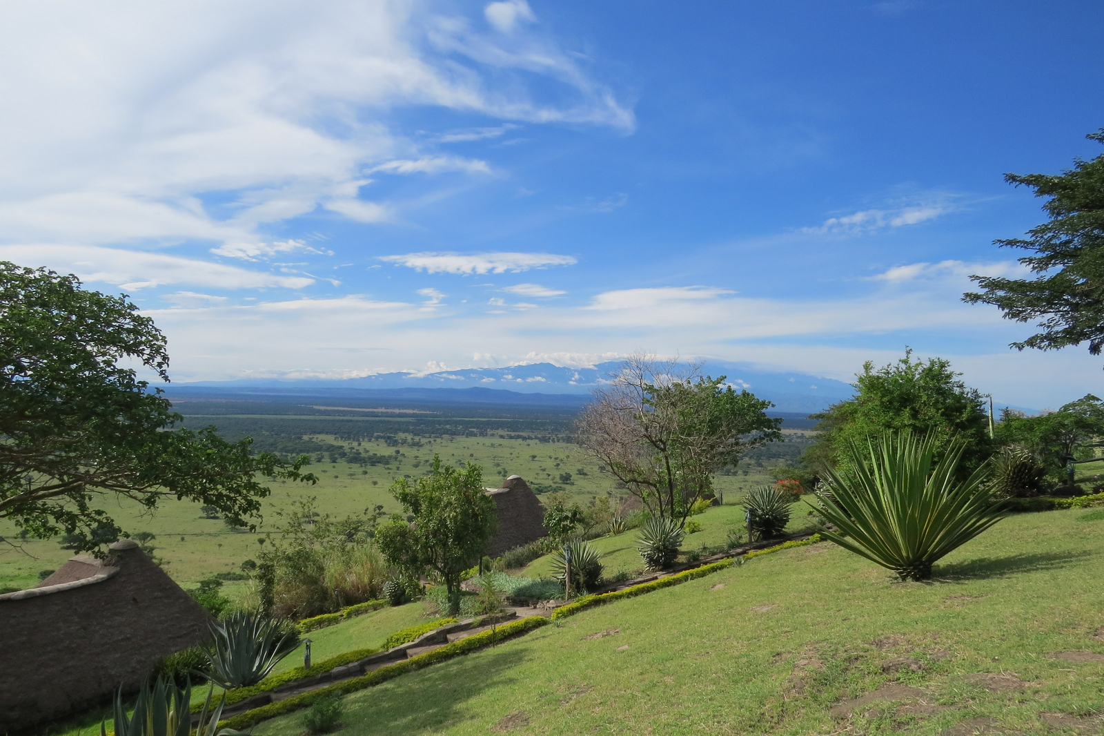 Katara Lodge Katara Lodge: Rwenzori Mountains