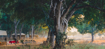 Kutali Camp Kutali Camp: Morgensonne