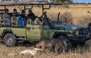 Lagoon Camp Lagoon Camp: Gepard mit Beute