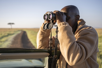 Little Governors' Camp: Sichtung