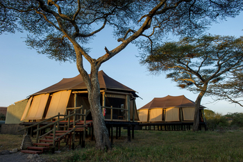 Masek Tented Lodge: Gästezelte