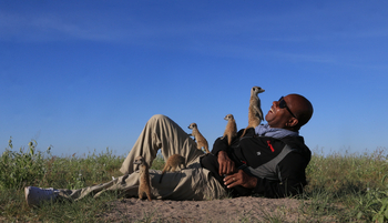 Camp Kalahari Camp Kalahari: Begegnung mit Erdmännchen