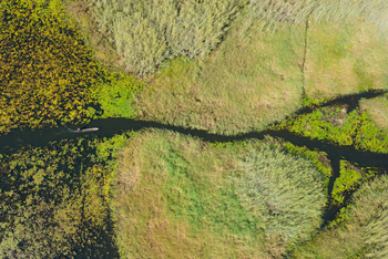 Shoebill Island Camp Shoebill Island Camp: Mokoro im Sumpf