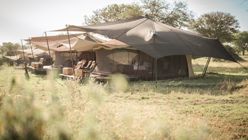 Siringit Migration Camp: Gästezelt mit Doppeldach