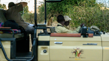 Tafika Camp: Leopard