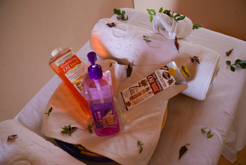 Adere Safari Lodge: Wellness