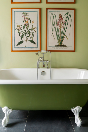 Coot Club: Leeward Large 3