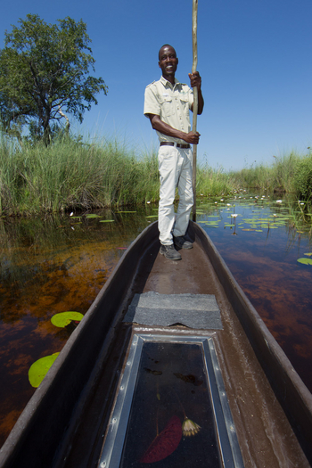Kanana Camp: Poler in Glasbodenmokoro