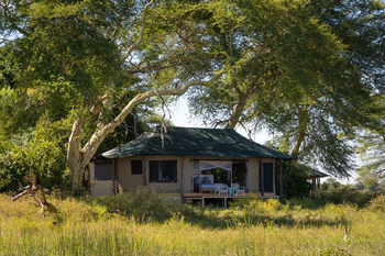 Kuthengo Camp: Gästezelt