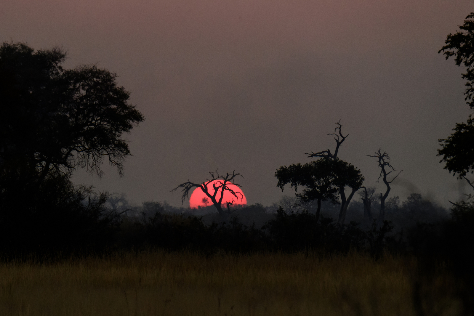 Lagoon Camp Lagoon Camp: Sonnenball