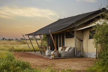 Legendary Mila Tented Camp: Tented Room
