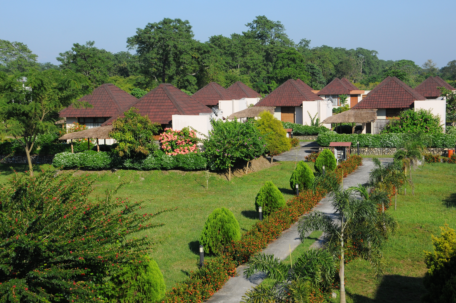 Musa Jungle Retreat Musa Jungle Retreat: Cottages