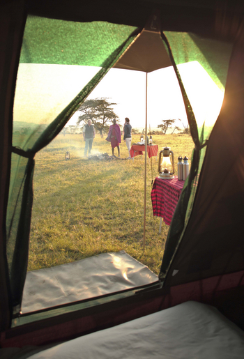 Naboisho Camp: Fly-Camping Zeltinneres