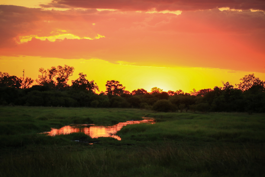 Sango Safari Camp