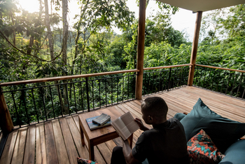 Turaco Treetops: Lektüre