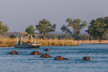 Classic Zambia Safaris Classic Zambia Safaris: Motorbootexkursion