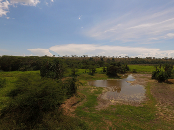 Enjojo Lodge: Wasserloch vor der Lodge