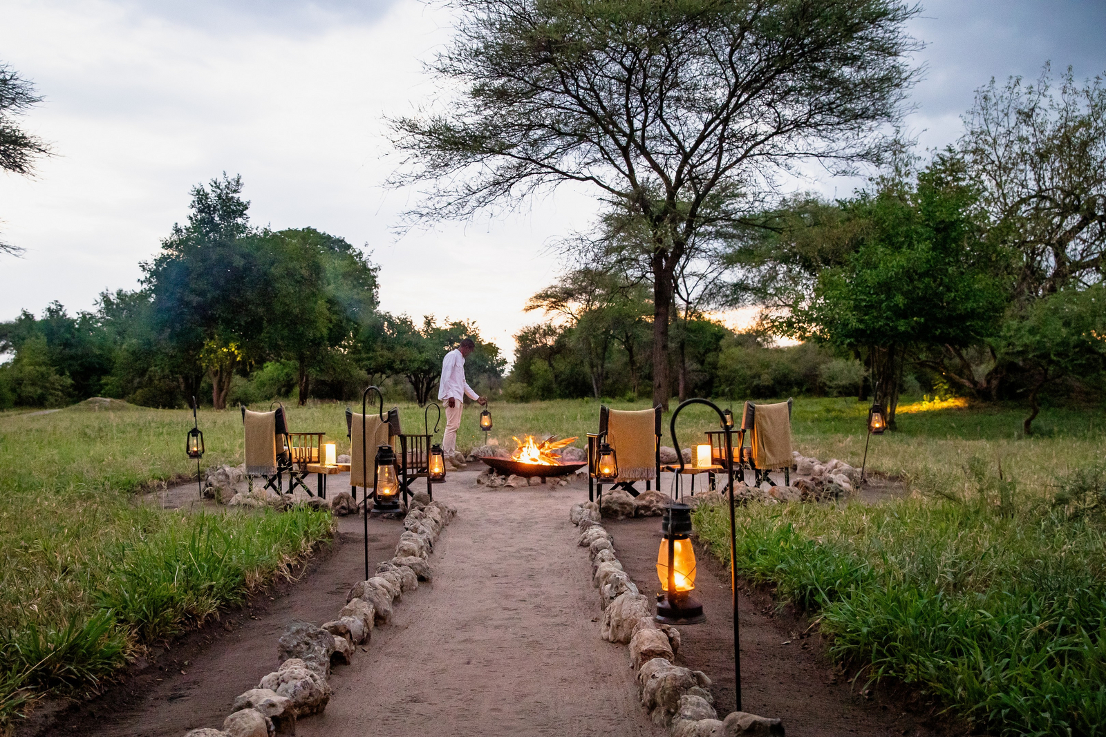 Forest Chem Chem Forest Chem Chem: Weg zum Lagerfeuer