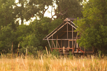 Lebala Camp Lebala Camp: Chalet zwischen Bäumen