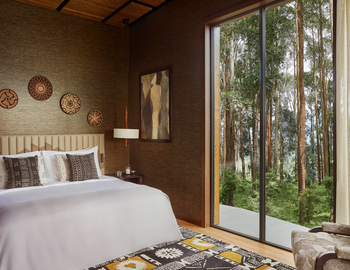 One and Only Gorilla's Nest: Blick aus dem Schlafzimmer