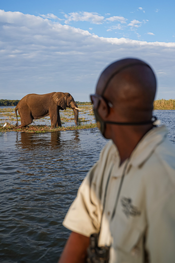 Sausage Tree Camp: Guide